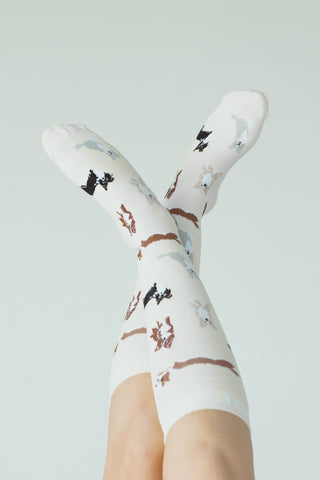 Border Collies Bamboo Compression Socks